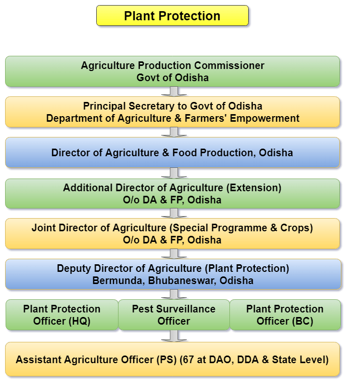 e-Pest Organogram